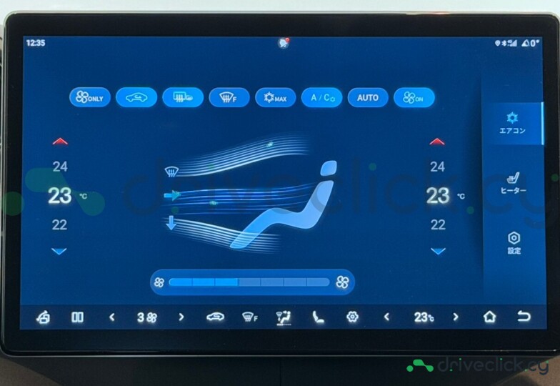BYD Dolphin Grey