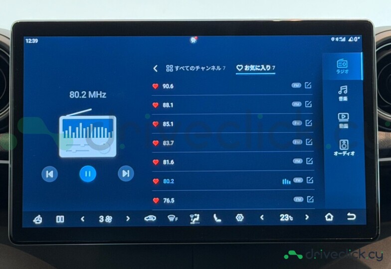 BYD Dolphin Grey