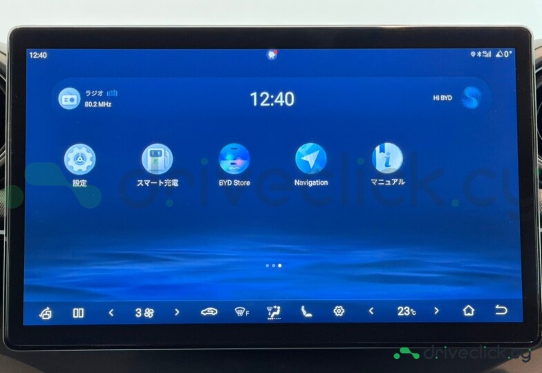 BYD Dolphin Grey