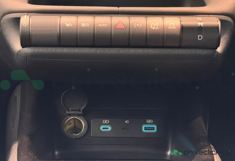 BYD Dolphin Grey