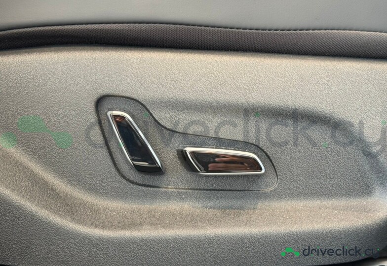 BYD Dolphin Grey