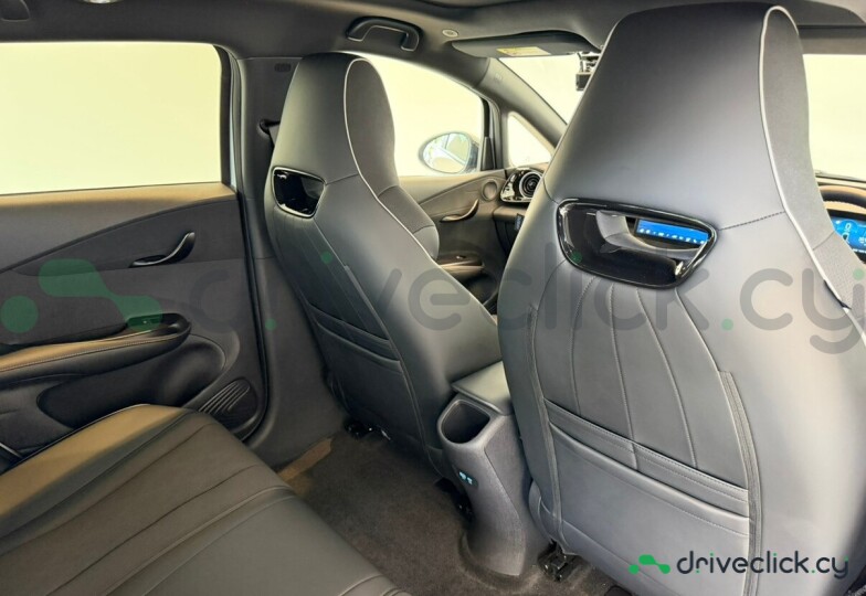 BYD Dolphin Grey