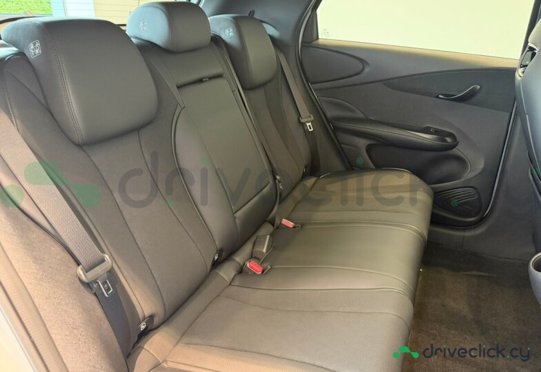 BYD Dolphin Grey