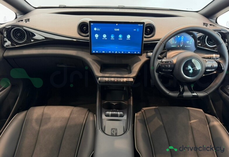 BYD Dolphin Grey