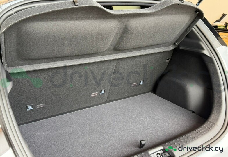BYD Dolphin Grey