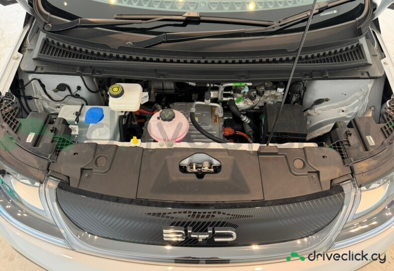 BYD Dolphin Grey