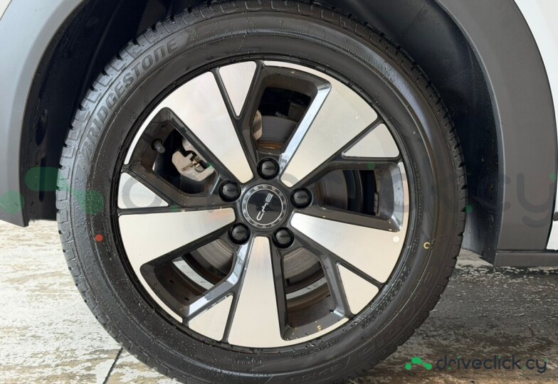 BYD Dolphin Grey