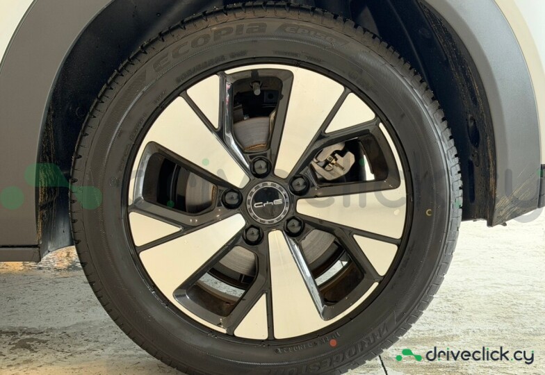 BYD Dolphin Grey