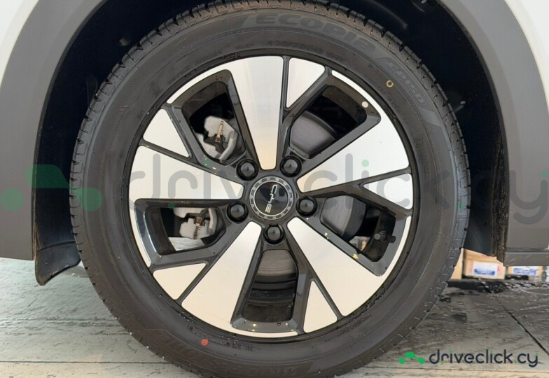 BYD Dolphin Grey