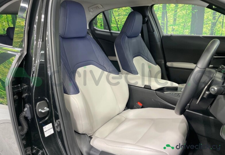 Lexus UX Black