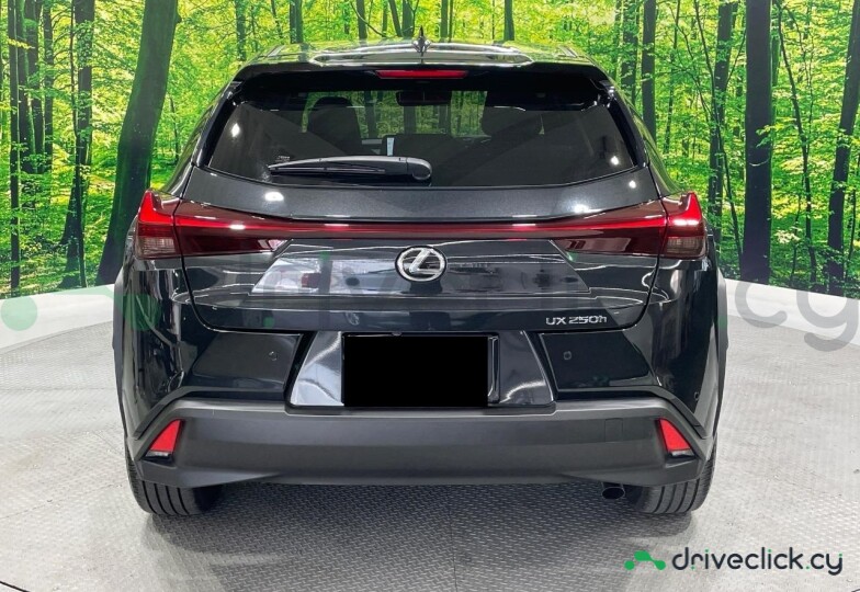 Lexus UX Black