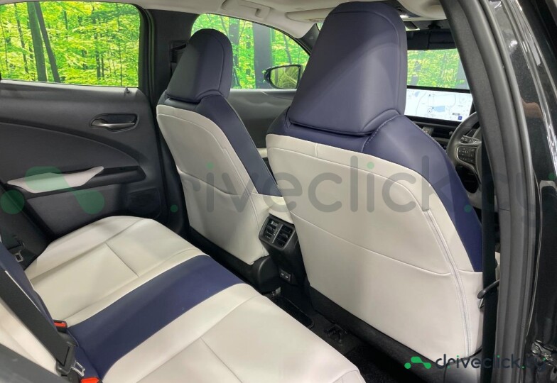 Lexus UX Black