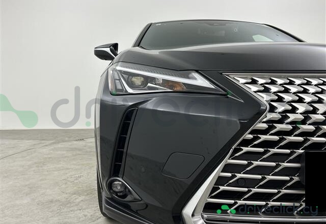 Lexus UX Black