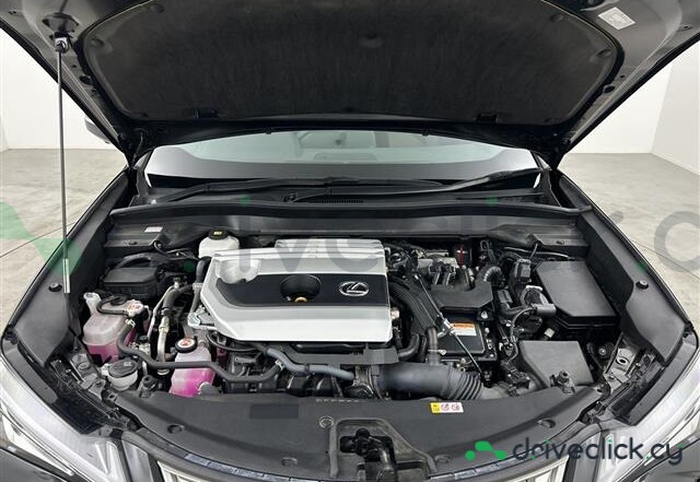 Lexus UX Black