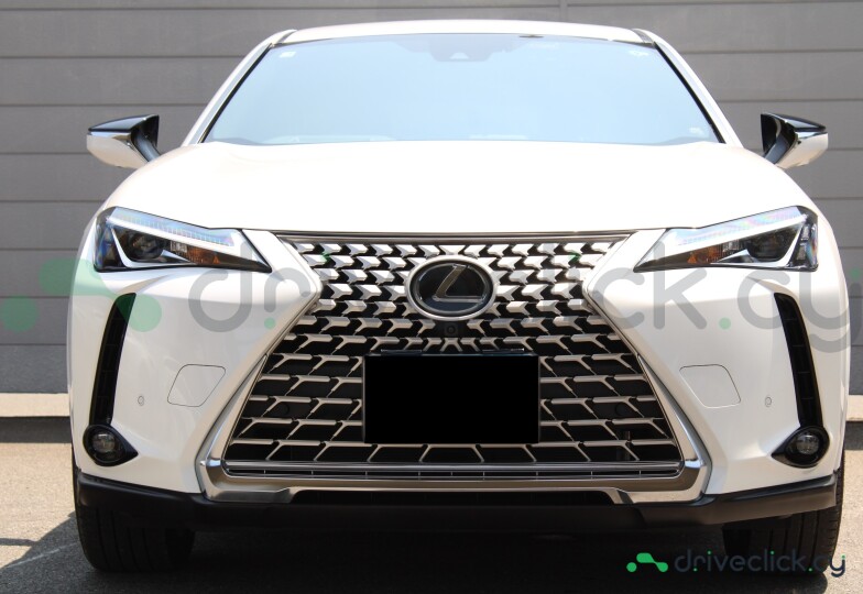 Lexus UX White