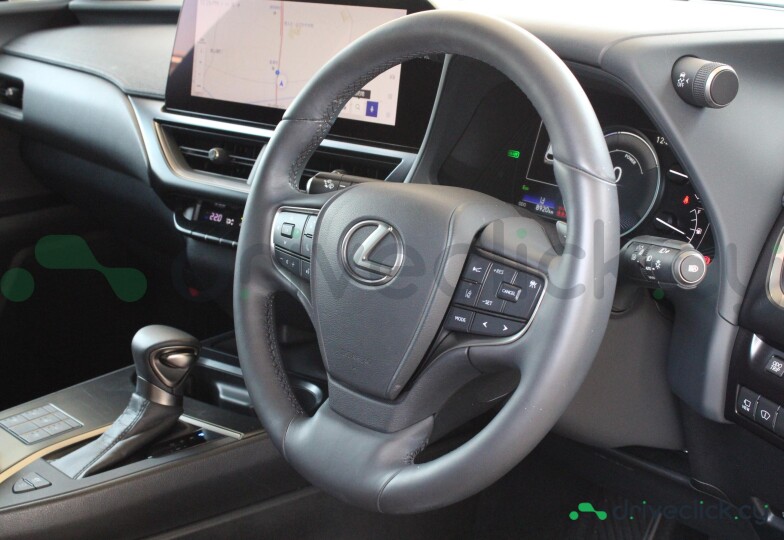 Lexus UX White