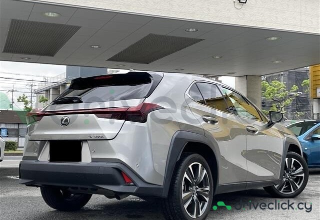 Lexus UX Grey