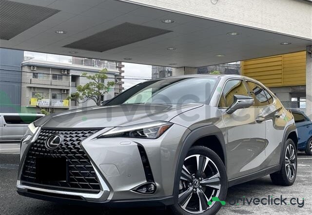 Lexus UX Grey