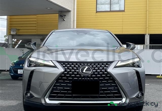 Lexus UX Grey
