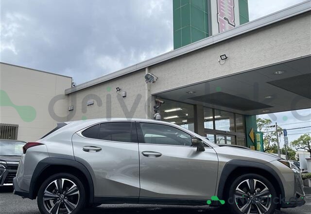 Lexus UX Grey