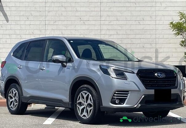 Subaru Forester Blue