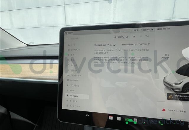Tesla Model Y White