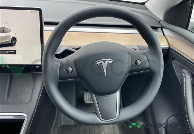 Tesla Model Y White