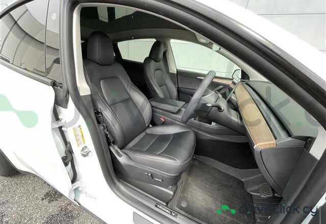 Tesla Model Y White