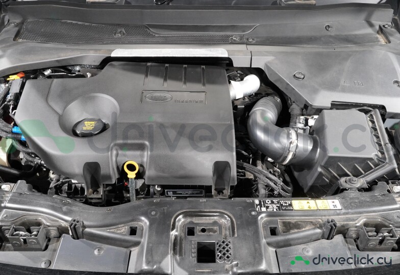 Land Rover Discovery Sport Белый