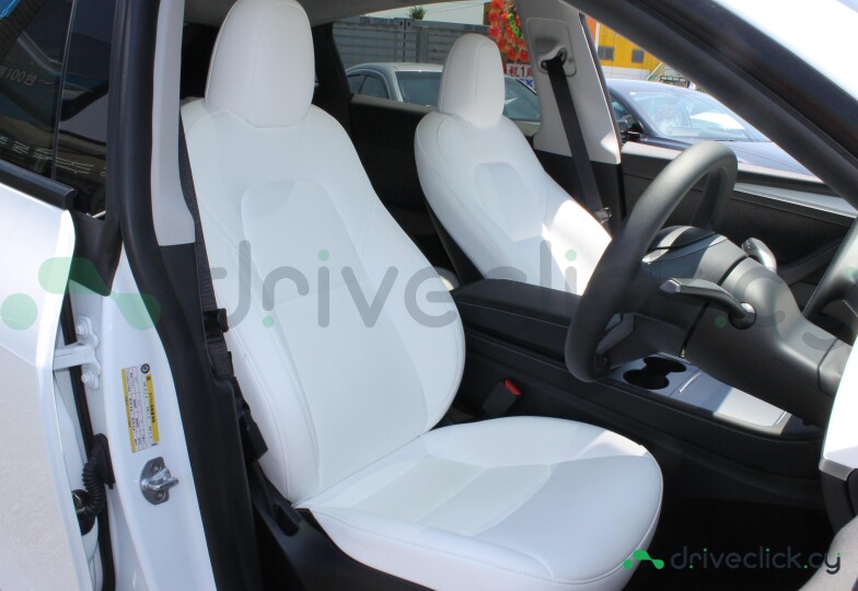 Tesla Model Y White