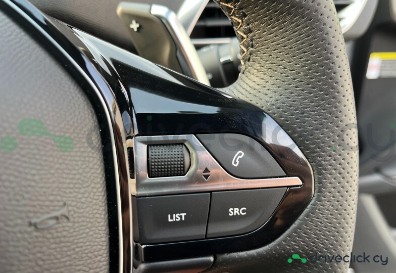 Peugeot 3008 Grey