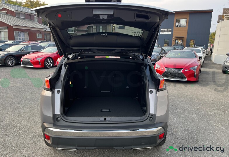 Peugeot 3008 Grey