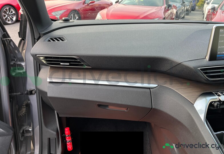 Peugeot 3008 Grey