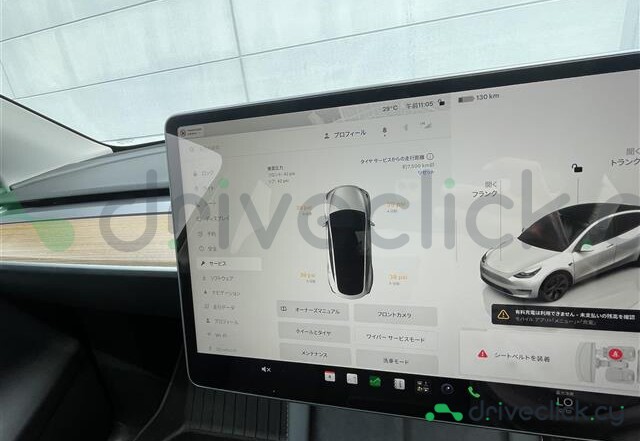 Tesla Model Y White