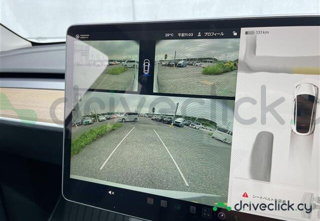 Tesla Model Y White