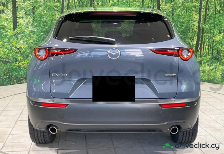 Mazda CX-30 Blue