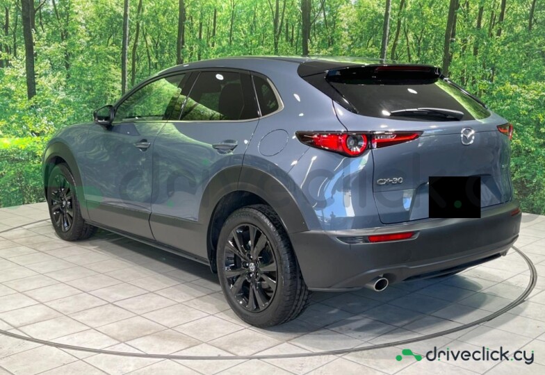 Mazda CX-30 Blue