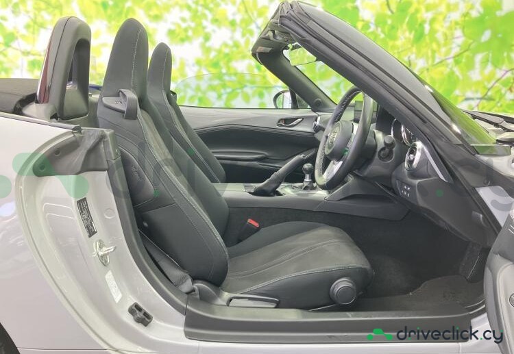 Mazda Roadster Grey