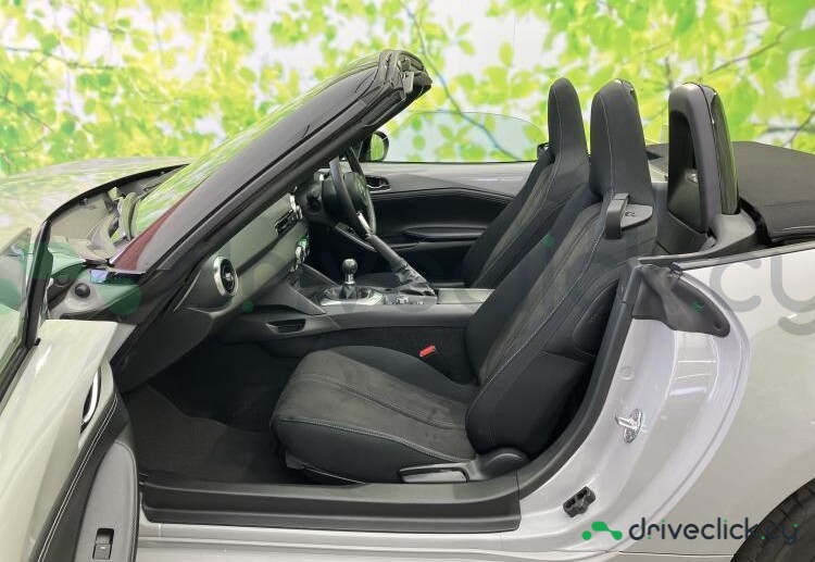 Mazda Roadster Grey