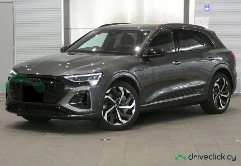 Audi Q8 e-tron Grey
