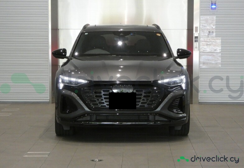 Audi Q8 e-tron Grey
