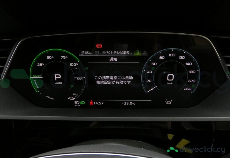 Audi Q8 e-tron Grey