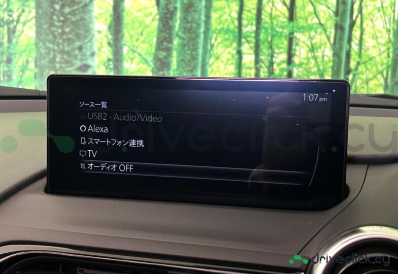 Mazda Roadster Blue