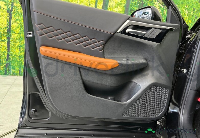 Mitsubishi Outlander Black