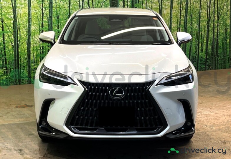 Lexus NX White