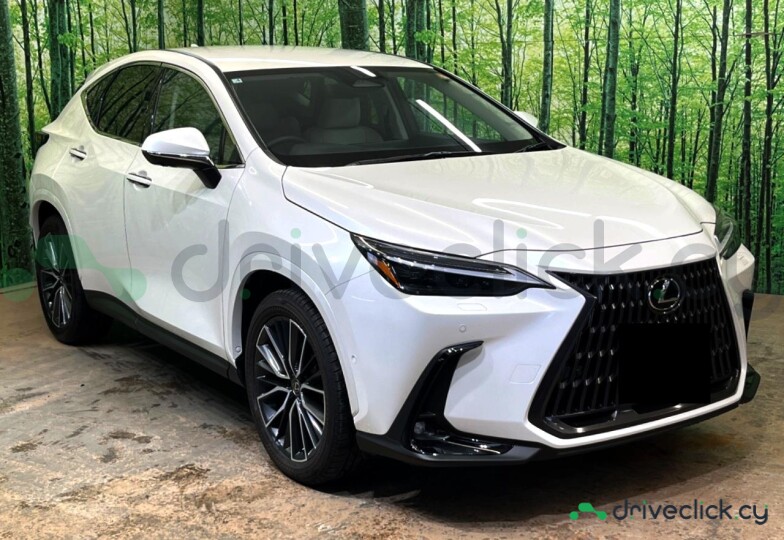 Lexus NX White