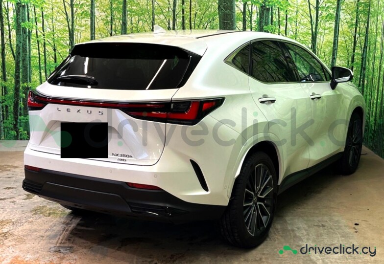 Lexus NX White