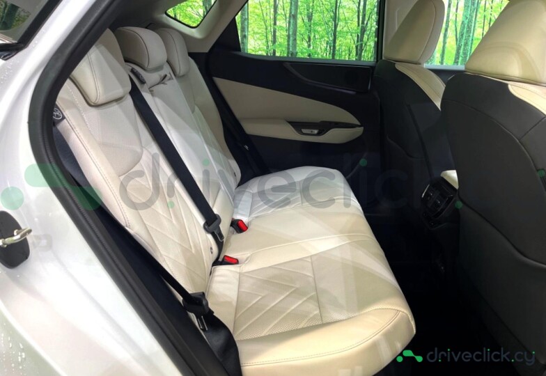 Lexus NX White
