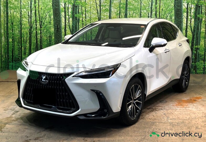 Lexus NX White