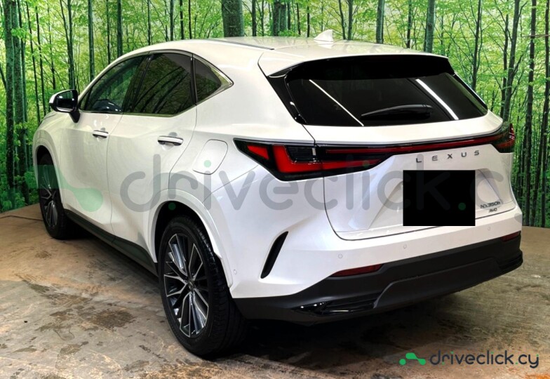 Lexus NX White